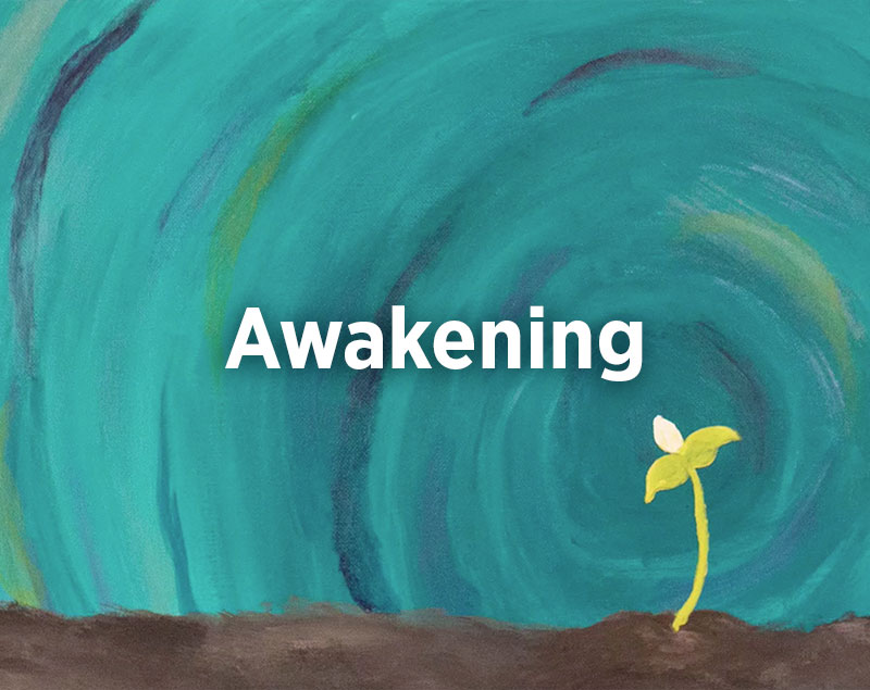 Awakening, Jim Brickman