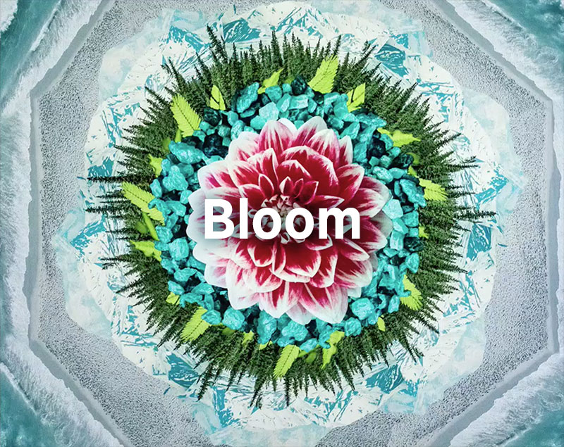 Bloom, Jim Brickman