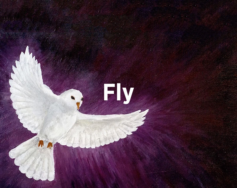 Fly, Jim Brickman